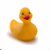 Static image of a yellow rubber duck with red beak and black eyes on white background, surrounded by scattered yellow text fragments on black background.