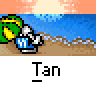 Animated contact sheet of a cartoon character running on a beach with repeated text "Tan" below each frame.
