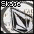 A static icon with 'skate' text above a circular emblem containing geometric shapes and faint background patterns.