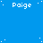 Blue background with white pixelated dots and repeated 'Paige' text in a pattern, featuring a gray rectangular shape at bottom right