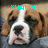 A four- shows a dog's face with changing text overlays: "*YAWN*" at top-left, "IM" at top-right, and "TIRED" at bottom-left