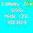 Pixelated text displays 'Sammy Joe' with green heart symbol, '&&', 'Nick (33.', and '8129108' on cyan background.