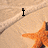 A beach-themed animated icon with a starfish on sand, displaying sequential text changes from 'i' to 'love' to 'the beach.'