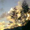 Pixelated landscape with trees and clouds under a light blue sky, rendered in low-resolution JPEG style.
