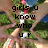 Pixelated image with black text reading 'girls u know who ur' overlaid on a blurred background of green foliage and light-colored figures.