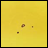 A 48x48 pixel animated contact sheet showing two frames of a yellow background icon with small brown and pink dots on the left, and black background text reading "Anime IM" above "COM" on the right.