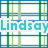 A plaid-patterned background with the name "Lindsay" repeated in multiple colors and positions, partially obscured by a gray rectangle.
