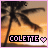 Two side-by-side animated frames of a buddy icon showing palm trees at sunset with the name "COLETTE" and a heart symbol, differing in border color and text/heart hue.