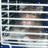 Pixelated image of a hamster behind horizontal bars with overlaid text reading "It's my ***NEW*** hamster Sunmi!!!"