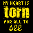 Pixelated text displays 'MY HEART IS torn FOR ALL TO see' with yellow and pink color variations on black background.