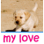 Animated sequence of a light-colored puppy on sandy background with pink text captions changing across frames.