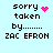 Pixelated text reads 'sorry taken by....... ZAC EFRON' with a pink heart symbol on the left and scattered pink dots on the right, all against light blue background.