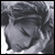 Static grayscale buddy icon with pixelated facial features and hair, showing a partial profile view of a person's head against a light background.