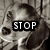 Four- of a dog's face with text overlays reading STOP, ANIMAL, ABUSING!, and a blank