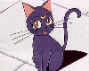 Four distinct anime-style cat character poses with varying expressions and backgrounds, each with unique color schemes and accessories.