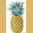 Animated contact sheet of 10 pineapple icons with varying text labels on yellow and white backgrounds, arranged in a 4x3 grid with one gray placeholder cell.