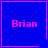 Four blue square with pink borders each display the name "Brian" in pixelated text, two include small symbols