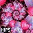 A pixelated pink and purple spiral pattern with three distinct text overlays reading 'HIPS', 'DONT', and 'LIE' in white block letters on black backgrounds.