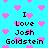 Pixelated cyan background with pink heart shapes and repeated text "I Love Josh Goldstein" in black block letters.