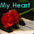A red rose on a piano keyboard with changing text: 'My Heart', 'Says', and 'LOVE..❤️' in different frames.