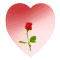 Five heart-shaped icons with red roses in various stages of bloom against pink gradients, one gray placeholder.