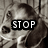 A grayscale image of a dog's face with text overlays reading STOP, ANIMAL, and ABUSING! across three sections.