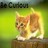 Static 48x48 pixel buddy icon featuring a cartoon cat with orange and white fur against a green background, partially obscured by text at the top.