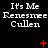 Black background with repeated white text "It's Me Renesmee Cullen" and scattered red symbols including plus signs and X marks.