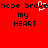 Red background with black text reading 'hope broke my HEART' and a white pixelated heart symbol replacing the 'o' in 'broke'.