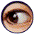 Four circular animated frames showing a human eye with varying pupil shapes and iris reflections, arranged in a 2x2 contact sheet on a gray background.