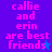 Pixelated text reads 'callie and erin are best friends' with a star symbol, displayed in pink on blue and purple backgrounds.