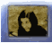 A static image of a person with dark hair against a textured brown background, framed by a blue border.