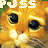 Animated sequence of a cartoon cat with large black eyes and orange fur, displaying text overlays including "PUSS" and "BOOTS" in pixelated white font against green background.