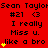 Red background with repeated text "Sean Taylor #21" and "I really Miss u. like a bro" in black pixelated font, yellow star symbols appear sequentially across frames.
