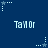 Blue background with repeated white pixelated text 'TaylOr' and star-shaped icons connected by dotted lines.