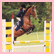 A pixelated static image shows a rider on a brown horse jumping over a yellow and white obstacle with green foliage in the background.