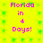 Bright yellow background with green pixelated patterns and pink text reading "Florida in 4 Days!" repeated twice horizontally.