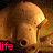 Pixelated image of a mushroom with a glowing cap and stem, set against a brown background with pink text reading 'life' at the bottom left.