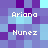 Pixelated of purple and blue squares with white text reading 'Ariana' and 'Munez' in multiple positions