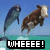 Two pixelated dolphins leap from turquoise water against a blue sky, with bold white text reading 'WHEEE!' in a black banner below.