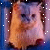 Animated cat icon with orange-brown fur, pinkish face, and dark eyes against a blue background with white dots.