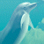 Pixelated dolphin leaping from blue water against a green background with bright green text reading 'Original Icons .com'