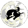 Black silhouette of a figure riding a broomstick against a circular background with swirling light gray and white patterns.