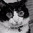 A pixelated black-and-white cat face on the left side of a contact sheet with bold text reading "what did you say??" in blocky font on the right side, both displayed as two sampled frames from an animation.