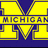 Pixelated blue background with yellow text and a large Michigan 'M' logo, displaying multiple phrases including "GO BLUE!!!!!" and "We owned MSU!!"