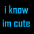Pixelated text in blue and pink on black background with gray rectangle, displaying phrases about a name and cuteness.