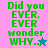 Green pixelated text "Did you EVER, EVER wonder WHY..." on colored backgrounds with star symbols.