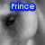 A grayscale close-up of a person's face with text overlays in blue and pink, showing partial facial features and changing text labels.