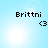 Pixelated text 'Brittni' and '<3' on a light blue background with bright white lens flares, four identical frames showing static content.