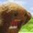 Pixelated close-up of a brown cartoon animal head with open mouth showing teeth and tongue, set against green grass and blue sky background.